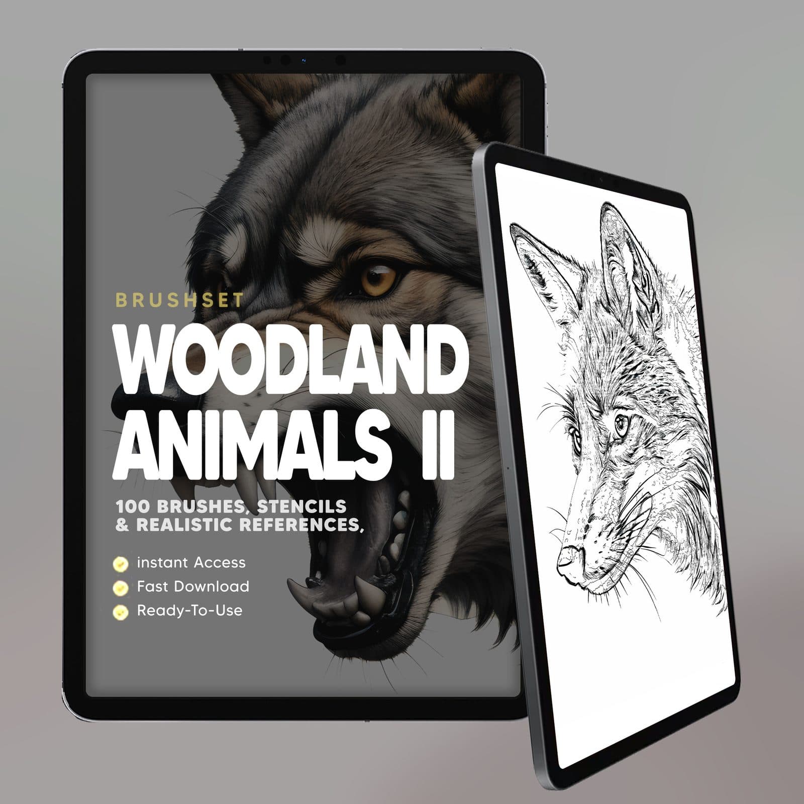 Woodland Animals II